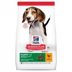 Hills SP Puppy Medium Pollo pienso cachorros Razas Medianas