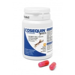 Cosequin Advanced para Gato