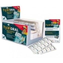 Hyaloral Condroprotector Para Perros De Razas Pequeñas y Medianas