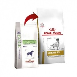 Royal Canin urinary moderate calorie dieta para perros