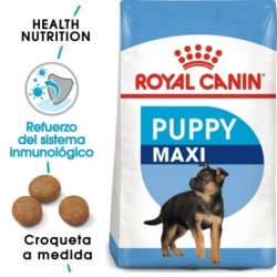 Royal Canin Maxi Puppy Pienso Cachorro Tamaño Grande