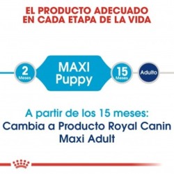 Royal Canin Maxi Puppy Pienso Cachorro Tamaño Grande