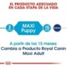 Foto 5 de Royal Canin Maxi Puppy Pienso Cachorro Tamaño Grande