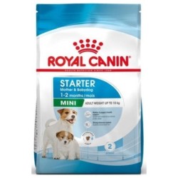 Royal canin mini starter mother&babydog pienso perros raza pequeña