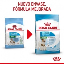 Royal canin mini starter mother&babydog pienso perros raza pequeña