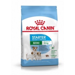 Royal canin mini starter mother&babydog pienso perros raza pequeña