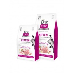 Brit care cat kitten healthy growth development comida para gatos