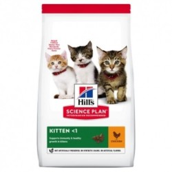 Hills Kitten Healthy Development Pollo Science Plan pienso gatitos