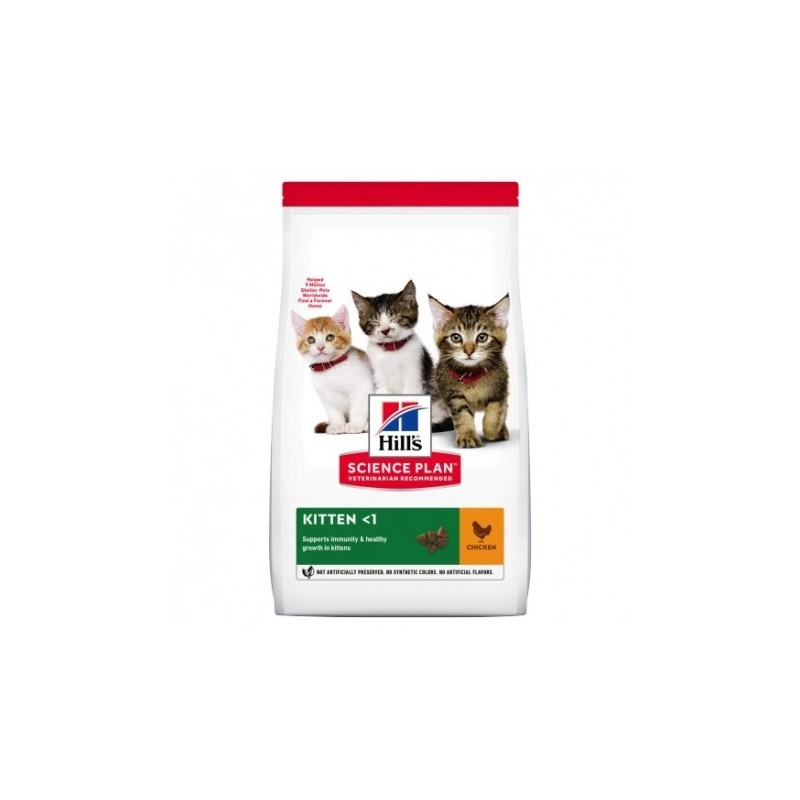 Hills Kitten Healthy Development Pollo Science Plan pienso gatitos