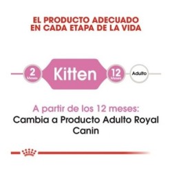 Royal Canin Kitten Pienso Gatitos Pequeños