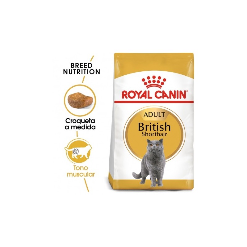 Royal canin british shorthair pienso para gatos