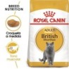 Foto 1 de Royal canin british shorthair pienso para gatos