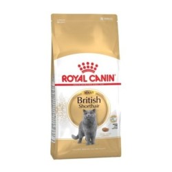 Royal canin british shorthair pienso para gatos