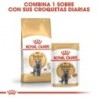 Foto 6 de Royal canin british shorthair pienso para gatos