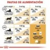 Foto 7 de Royal canin british shorthair pienso para gatos