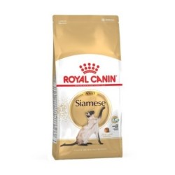 Royal canin siamese pienso para gatos de raza siames