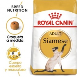 Royal canin siamese pienso para gatos de raza siames