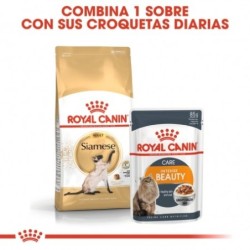 Royal canin siamese pienso para gatos de raza siames