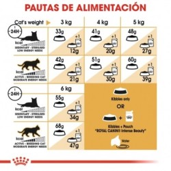 Royal canin siamese pienso para gatos de raza siames