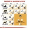 Foto 7 de Royal canin siamese pienso para gatos de raza siames