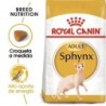 Foto 1 de Royal Canin Cat Sphynx 10 Kg