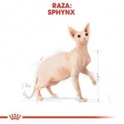 Royal Canin Cat Sphynx 10 Kg