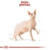 Foto 4 de Royal Canin Cat Sphynx 10 Kg