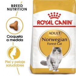 Royal canin bosque de noruega pienso para gatos