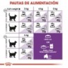 Foto 6 de Royal Canin Sensible 33 Pienso Gato Adulto