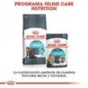 Foto 6 de Royal Canin pienso para gatos adultos Urinary Care