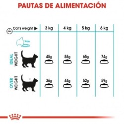 Royal Canin pienso para gatos adultos Urinary Care