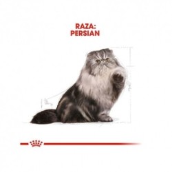 Royal Canin Persian Pienso Gato Adulto Persa