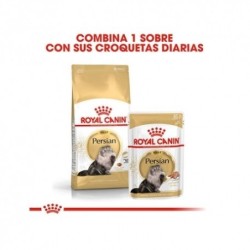 Royal Canin Persian Pienso Gato Adulto Persa