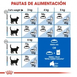 Royal canin indoor 27 pienso para gatos