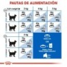 Foto 5 de Royal canin indoor 27 pienso para gatos