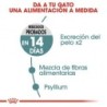 Foto 5 de Royal Canin Hairball Care pienso para gatos