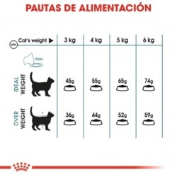 Royal Canin Hairball Care pienso para gatos