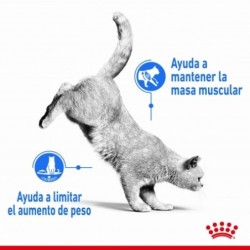 Royal Canin Light Weight Care pienso para gatos control de peso