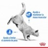 Foto 3 de Royal Canin Light Weight Care pienso para gatos control de peso