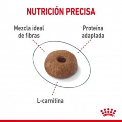 Royal Canin Light Weight Care pienso para gatos control de peso