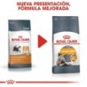 Foto 3 de Royal Canin Feline Hair & Skin 33