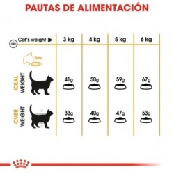 Royal Canin Feline Hair & Skin 33