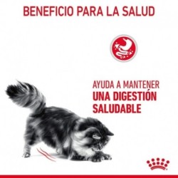 Royal canin digestive care pienso para gatos