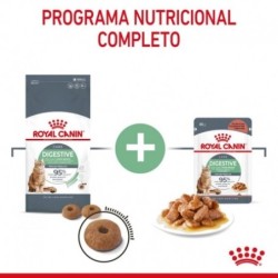 Royal canin digestive care pienso para gatos