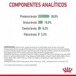 Royal canin digestive care pienso para gatos