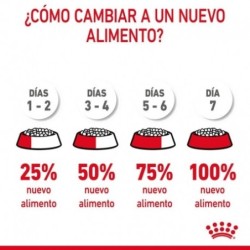 Royal canin digestive care pienso para gatos