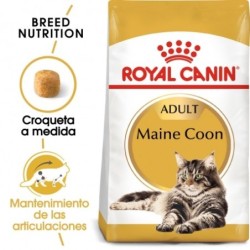 Royal canin maine coon pienso para gatos de raza maine coon