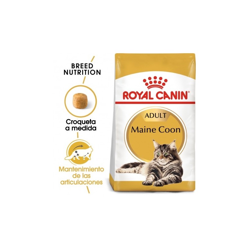 Royal canin maine coon pienso para gatos de raza maine coon