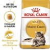 Foto 1 de Royal canin maine coon pienso para gatos de raza maine coon