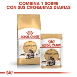 Royal canin maine coon pienso para gatos de raza maine coon